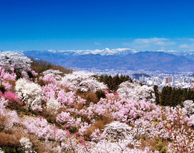 From among the blooming flowers The scenery of Fukushima city area spreads