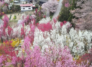 Hanayashiki Park