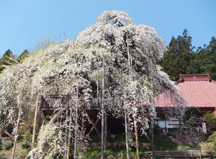 Jitokuji Temple