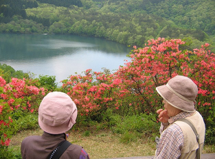 Tsutsujiyama Park