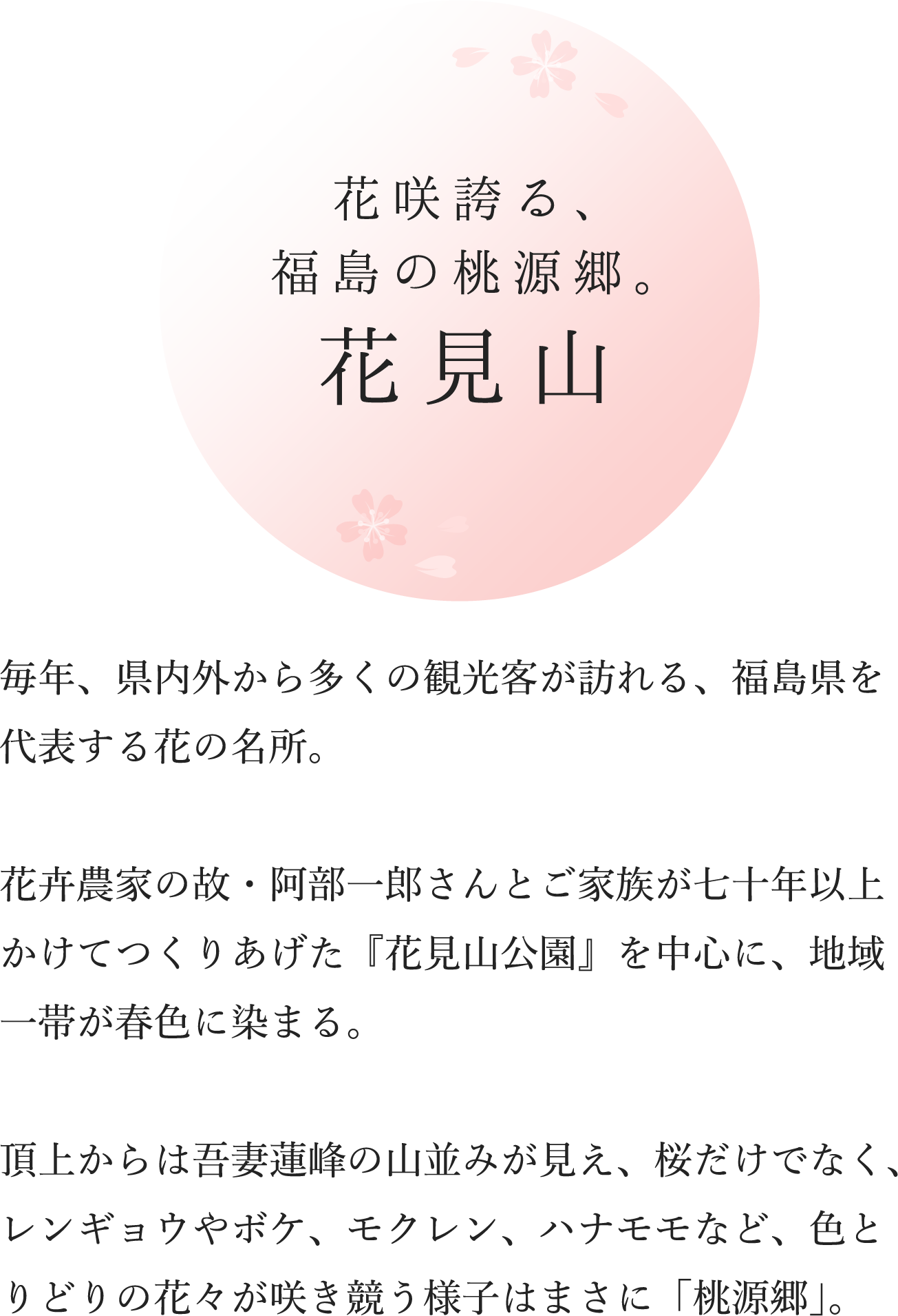 花咲誇る、福島の桃源郷。花見山毎年、県内外から多くの観光客が訪れる、福島県を代表する花の名所。花卉農家の故・阿部一郎さんとご家族が七十年以上かけてつくりあげた『花見山公園』を中心に、地域一帯が春色に染まる。頂上からは吾妻蓮峰の山並みが見え、桜だけでなく、レンギョウやボケ、モクレン、ハナモモなど、色とりどりの花々が咲き競う様子はまさに「桃源郷」。