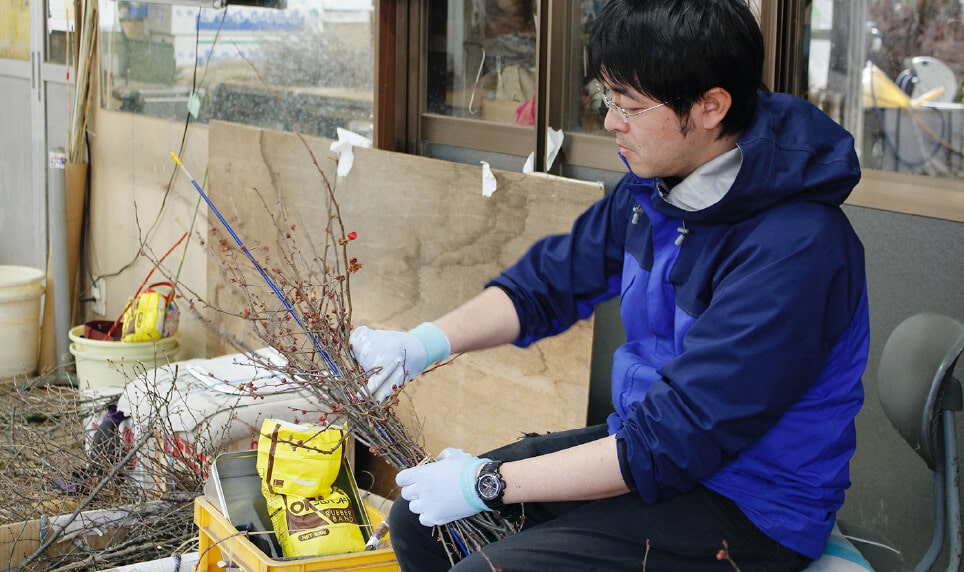 切り出した枝を結束する様子。｢量があるので、丁寧かつ早い作業を心がけています｣と晃治さん。