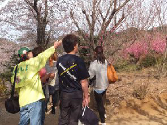 花見山公園でのガイドの様子