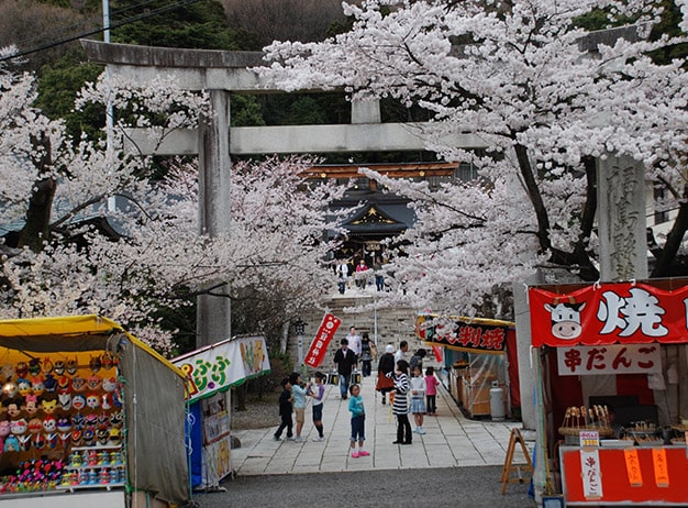 ふくしま花回廊 花見山特設サイト ふくしま花回廊 花見山特設サイト